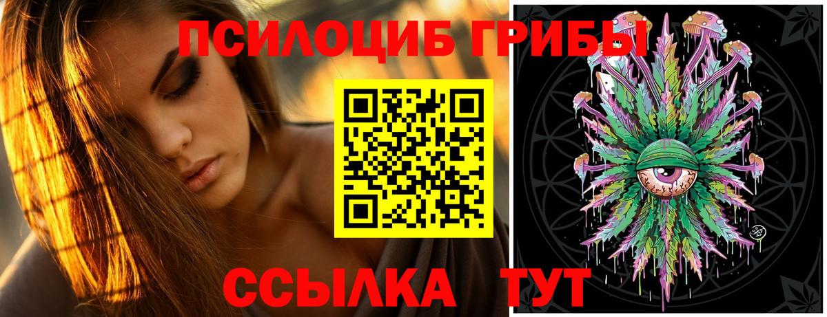 Галлюциногенные грибы GOLDEN TEACHER  цены наркотик  Вольск  Псилоцибиновые грибы Magic Shrooms  Вход с VPN 