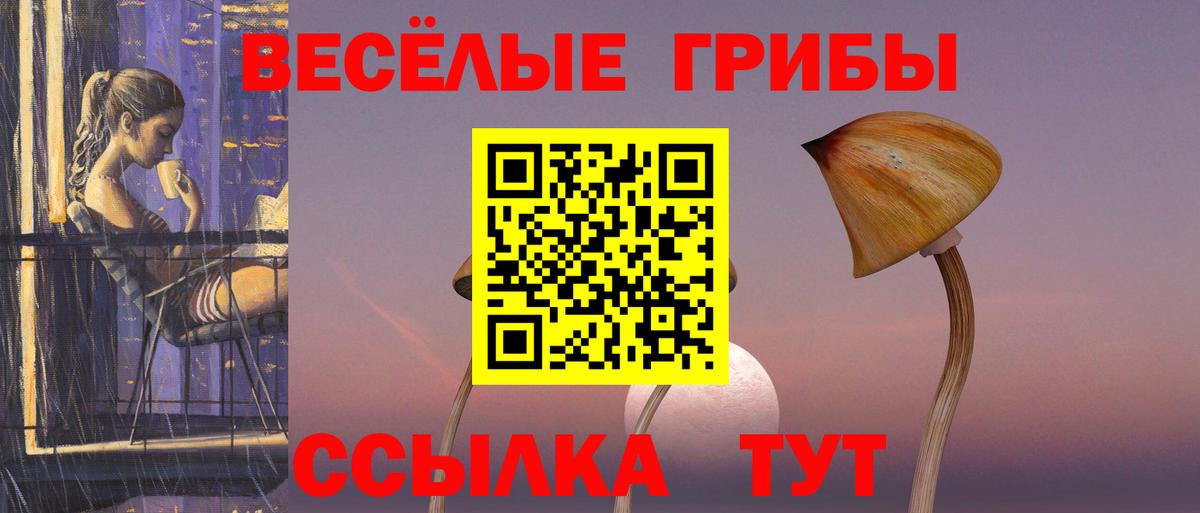 Галлюциногенные грибы мухоморы Вольск